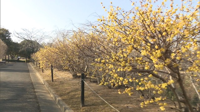 香川県園芸総合センター