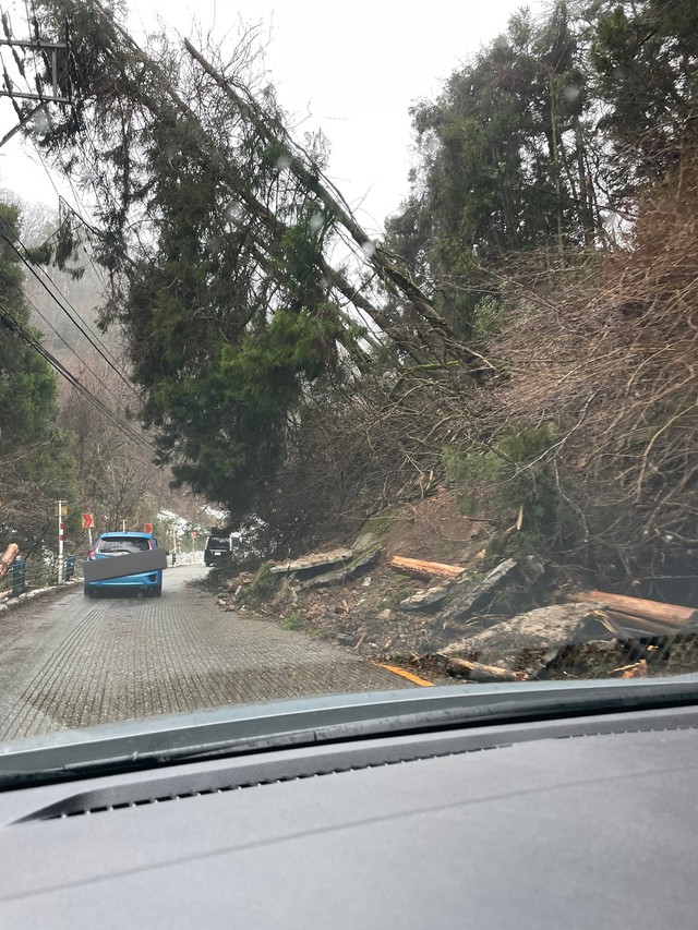 土砂崩れで片側しか通行できなくなった道路（自家焙煎珈琲店 神音@kanonstayさん提供）