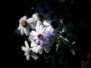 「生きていてくれてありがとう」何度も死を選んだ私はその言葉に泣いた