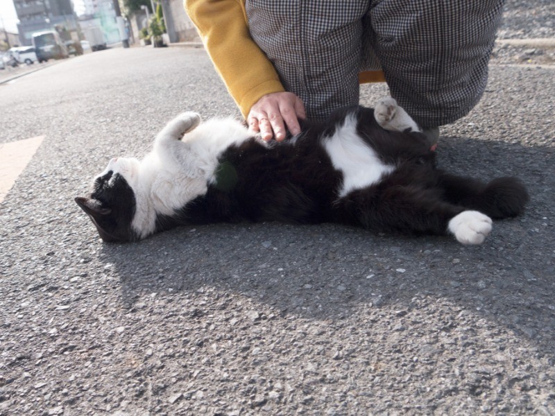 転がるのはもっと好き。（小林写函撮影）