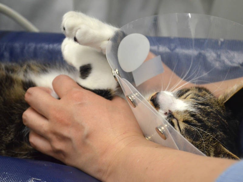 検査中、このとおりうつらうつら……