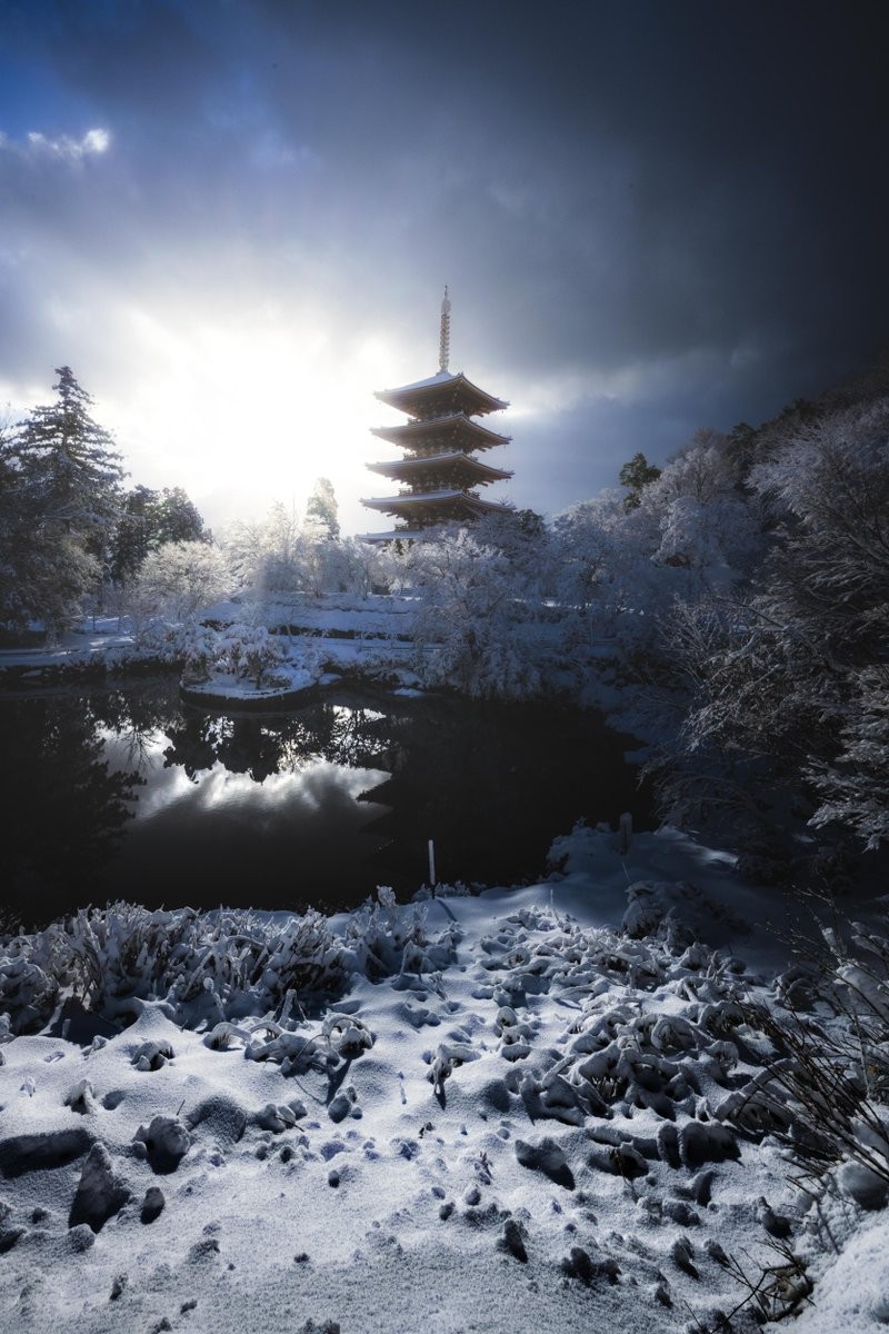 日本と思えない絶景が広がっていた」京都の雪景色が話題 理想の光が