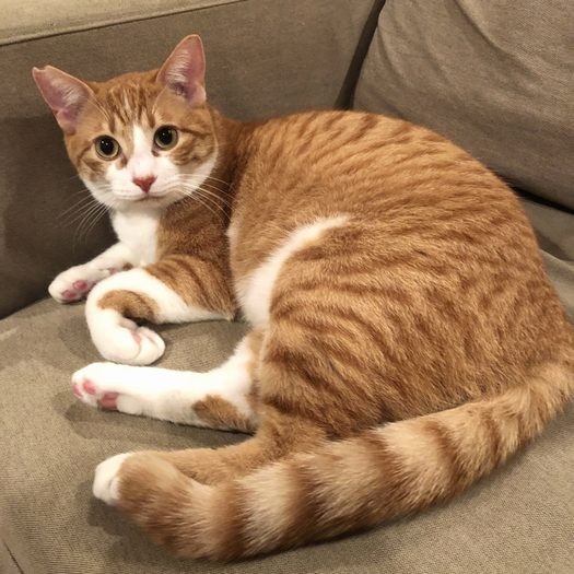 イケメンに成長したまるるくん