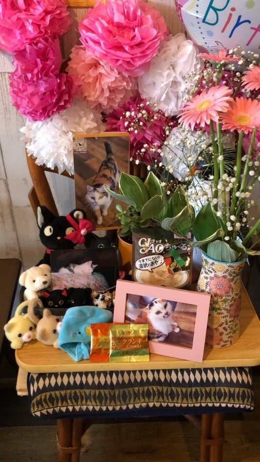 お店に設けられた、ねぇねちゃんのコーナー