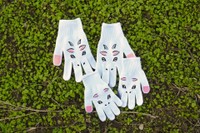 草うまっ！アニマルズ（香川大学提供）