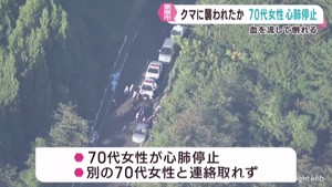 キノコ採りの７０代女性がクマに襲われたか　心肺停止　宮城・栗原市の山中