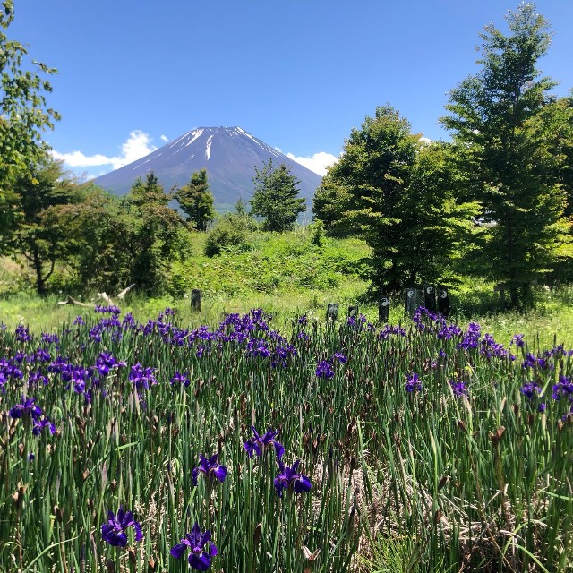 5月撮影。初夏を感じる富士山／アセンションマスターさん（@yococoass22）提供