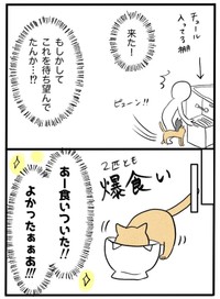 【漫画】『ネコと暮らした9日間』22（イゴカオリさん提供）