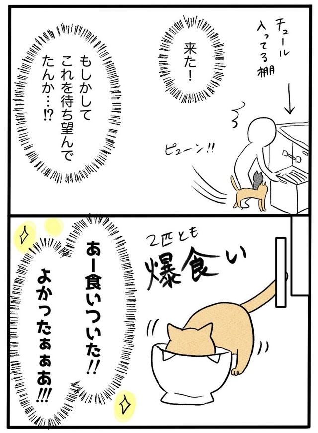 【漫画】『ネコと暮らした9日間』22（イゴカオリさん提供）