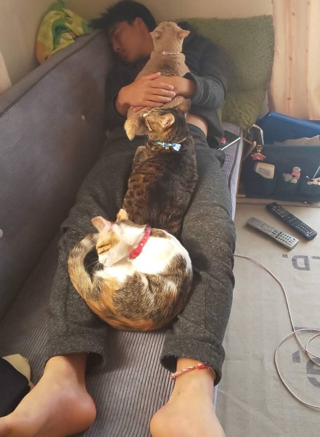 お兄ちゃんの上に縦列駐車＝nyaokoさん（@naokowatanabe5）提供
