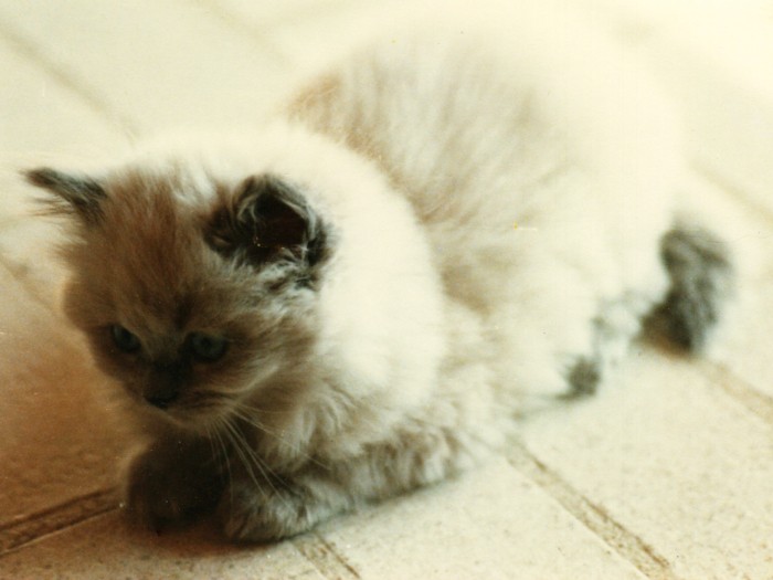 おっとりーーーーー