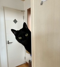 おおらかなにゃあちゃん（画像提供：【岡山】ベビー鍼灸師 ゆりさん）
