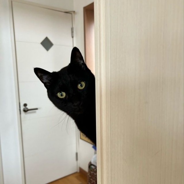 おおらかなにゃあちゃん（画像提供：【岡山】ベビー鍼灸師 ゆりさん）
