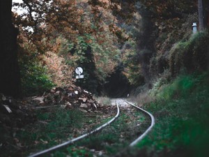 描いた未来をあっさり否定された過去は、故郷への感情を複雑にさせる