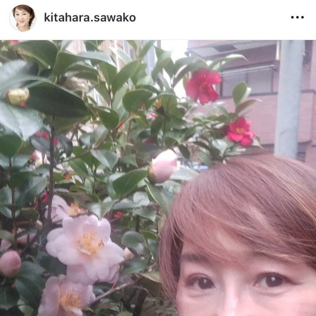 北原佐和子インスタグラム＠kitahara.sawakoより