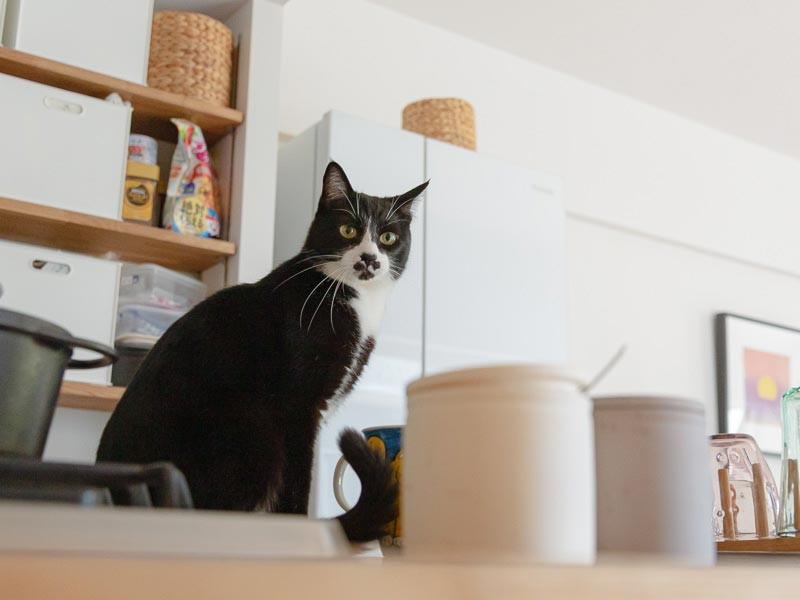 終始、キリッと。さびたんは男前だなぁ