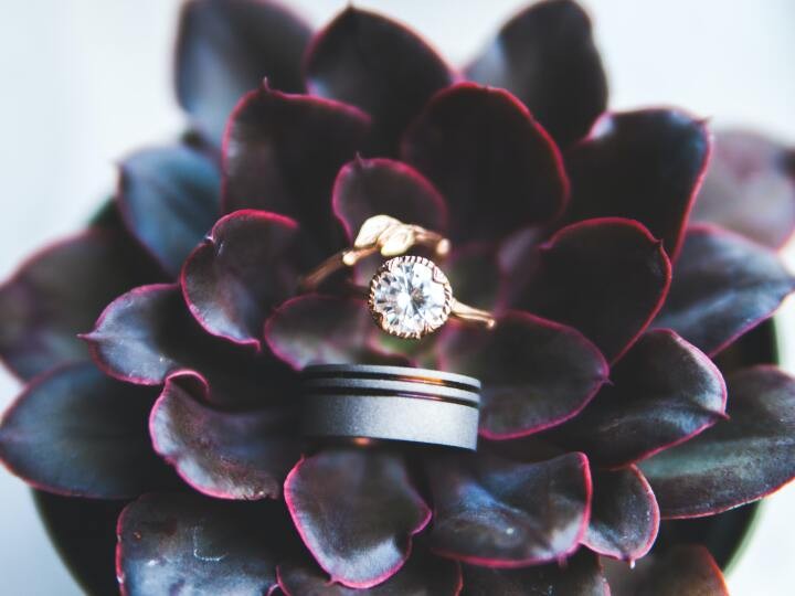 結婚もしていないけれど 今日も魔除けと彼氏代わりに指輪をする かがみよかがみ