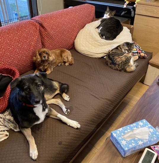 なかなかみんな一緒に撮れないなかの奇跡の４ショット（田形さん提供）