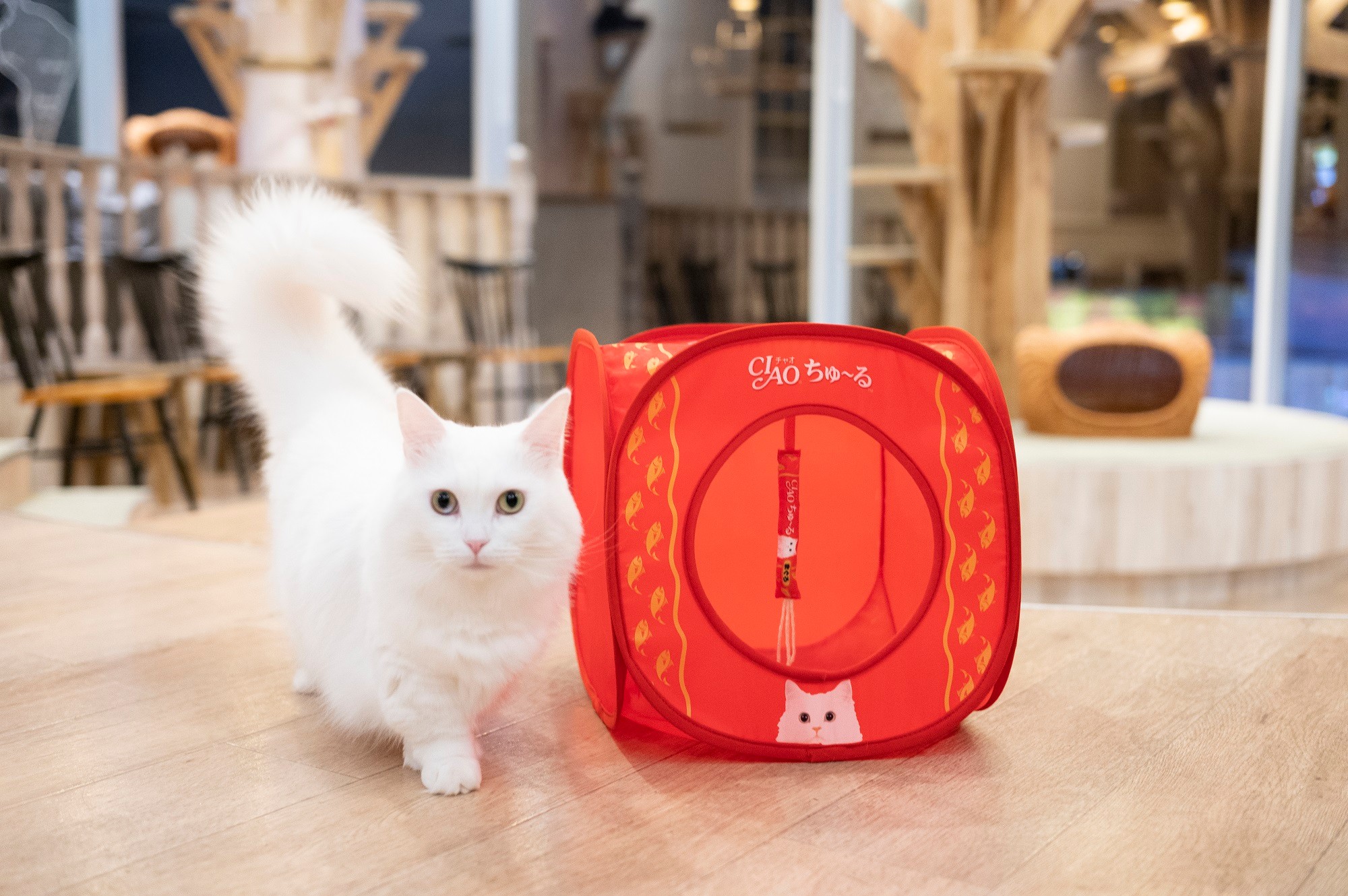 猫ちゃんが大好きなおやつ「CIAO ちゅ～る」柄のキャットハウス