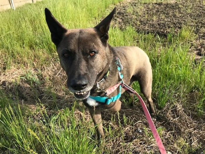 ちょっと悪い顔？