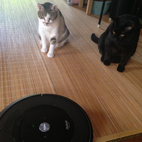 ルンバの動きが気になる