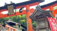 こちらを振りむく猫ちゃん。 ※松村上久郎さん提供