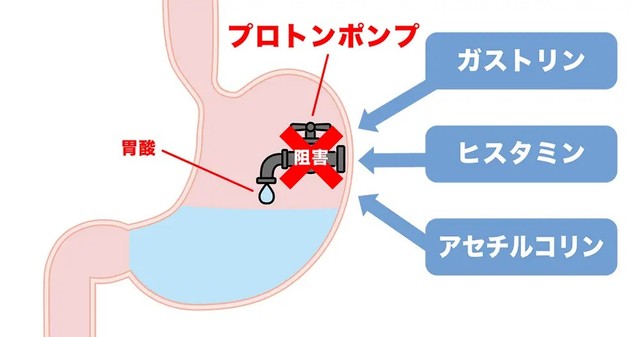 PPIの作用　※イメージ図（提供画像）