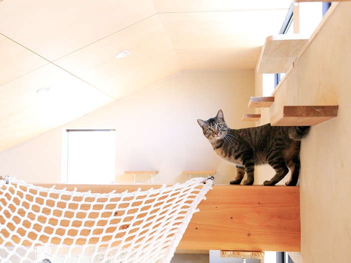 誰？と様子をうかがう棗。大きくなったね