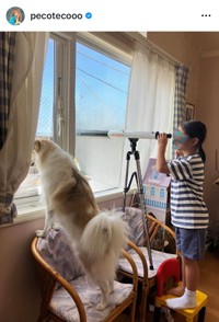 （peco公式インスタグラムより）