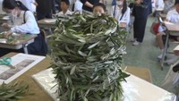 オリーブの冠