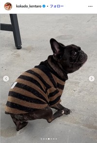 コカドケンタロウのkokado_kentaro