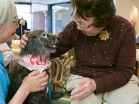犬や猫とふれあって人も動物も幸せに　35年目を迎えたJAHAの取り組み