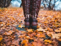 運動の秋。ウォーキング中に目にした掲示板から、市の情勢を思う