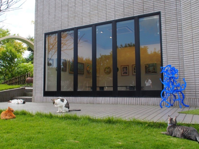 別館前で思い思いにくつろぐ猫たち。