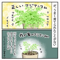 【漫画】『買った時がベストコンディション』2（もっこさん提供）
