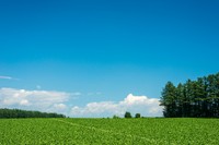 ※画像はイメージです(ktktmik／stock.adobe.com)