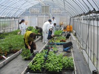 高校生が育てた野菜の苗などを販売　岡山・真庭市