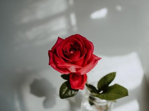 好きな人と両思いになっても、「私なんか」と行動できなかった私