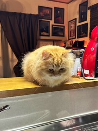 洗い物チェック！
