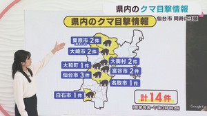 クマの目撃情報　宮城県　１８日午後３時〜１９日午後３時