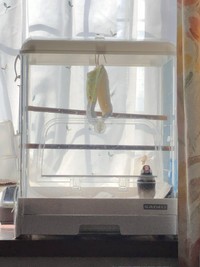 「ケージの扉前に陣取るぶんさん」（提供：テルさん）