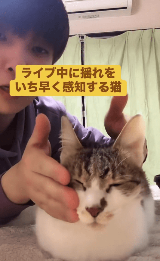 猫は地震を予知できる！？（しぶけんさん提供）