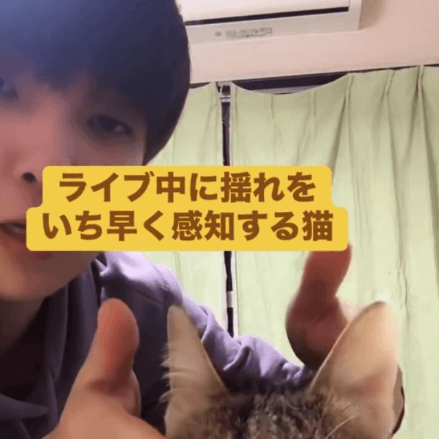 猫は地震を予知できる！？（しぶけんさん提供）