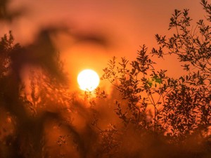 辛くて人間関係を切ったのに、彼への恋は冷凍保存され今も心に居座る