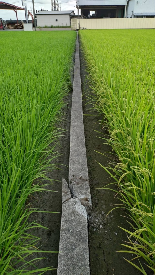田んぼの被害がひどく、水路や畦が完全に崩れてしまい、水を貯められないという（「たかきのバナナ」さん提供）