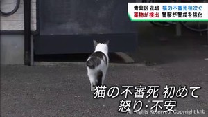 仙台・青葉区花壇で猫の不審死が相次ぐ　毒性の強い薬物検出で警察が警戒を強化