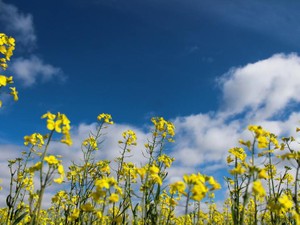 目標リストはもういらない。重圧から解放された私、楽しみます