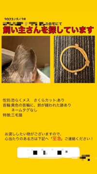 飼い主を探すポスターも作成しました（画像提供：MARVELママさん）
