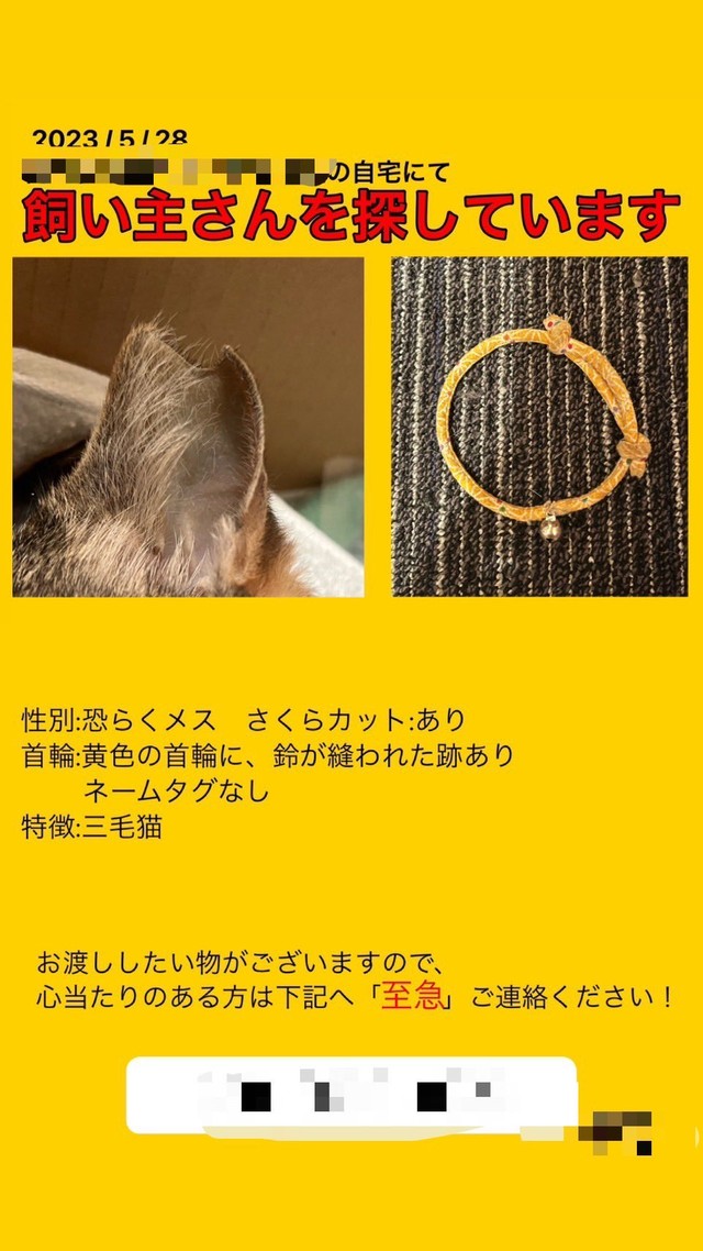 飼い主を探すポスターも作成しました（画像提供：MARVELママさん）