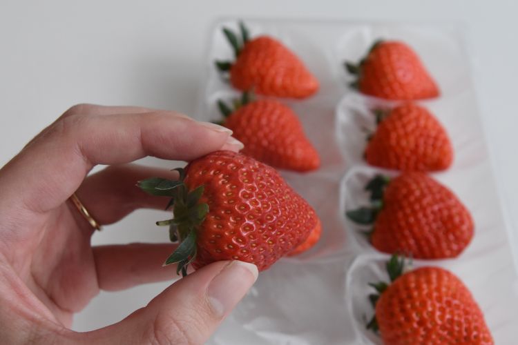 Oishii Farmのイチゴ